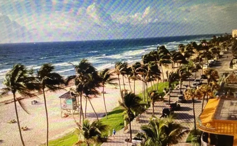View/Area - 333 NE 21st Ave #318, Deerfield Beach, FL 33441 photo 8 of 10
