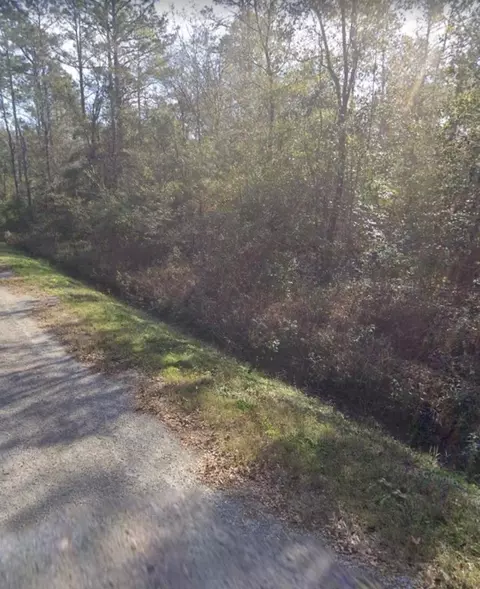 5055 Donald, Hastings, FL 32145