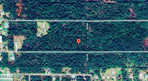 1218 Iris Ave, Sebring, FL 33875 photo 4