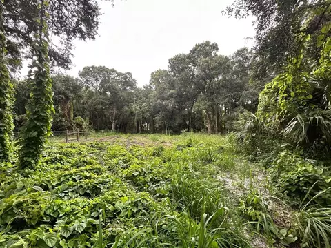 640 NE 144th Dr, Okeechobee, FL 34972 photo 2