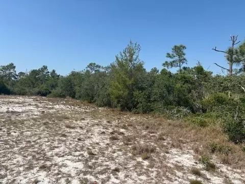314 Falcon St, Lake Placid, FL 33852