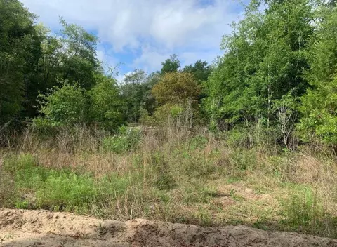 0 Douglas Dr, Interlachen, FL 32148