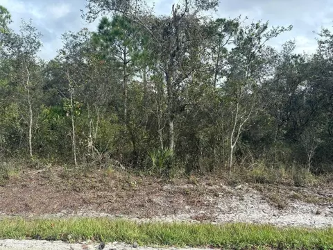 3035 Dixon, Avon Park, FL 33825