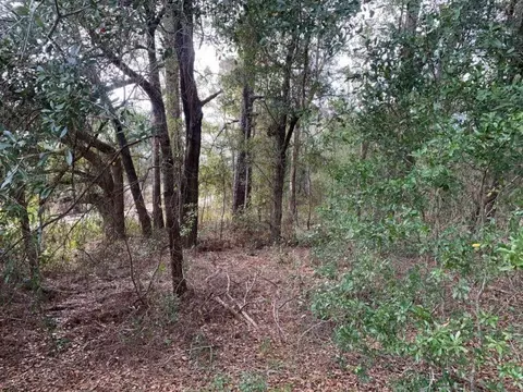 0 SW 30th Pl, Ocala, FL 34481