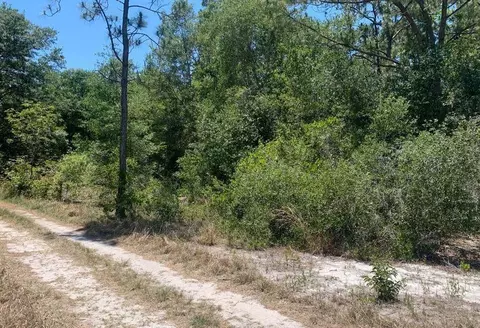 2649 N Todd, Avon Park, FL 33825