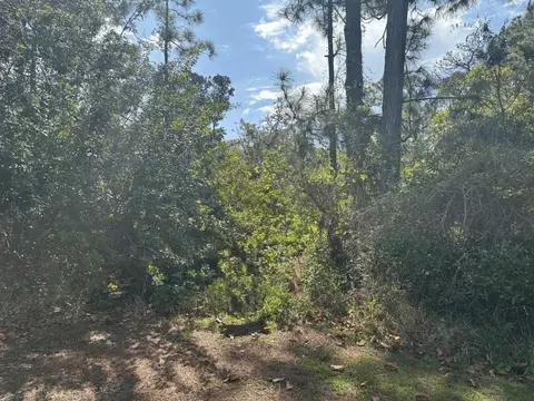 229 Caswell Ln, Lake Placid, FL 33852
