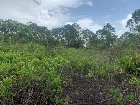 4105 Nogales Ave, Sebring, FL 33872