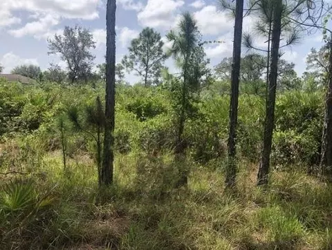 0 Dixon, Avon Park, FL 33825