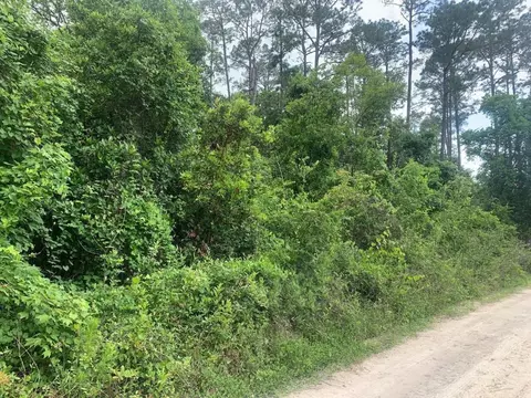 0 Coot Dr, Satsuma, FL 32189