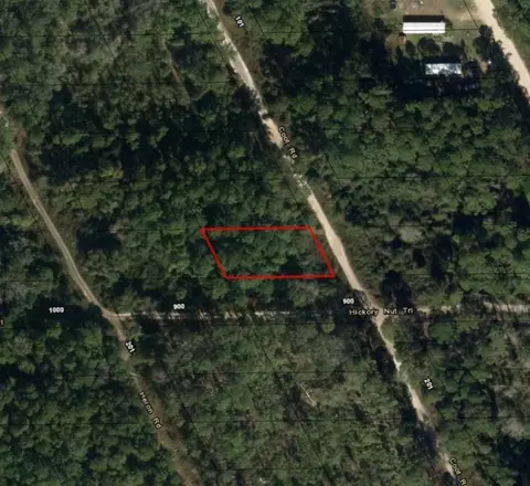 0 Coot Dr, Satsuma, FL 32189 photo 2