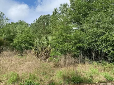 0 Douglas Dr, Interlachen, FL 32148