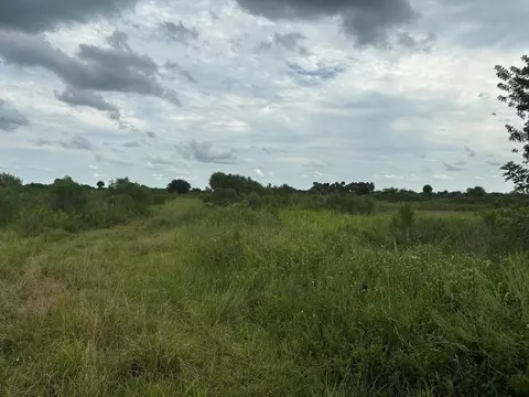 29800 NW 192nd Ave, Okeechobee, FL 34972 photo 2