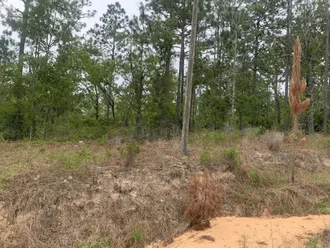 0 Akron, Interlachen, FL 32148