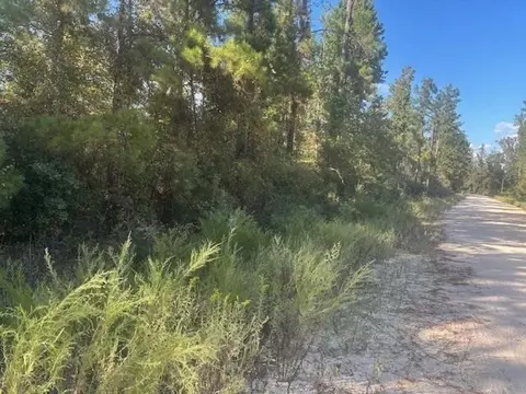0 Oriole, Marianna, FL 32420