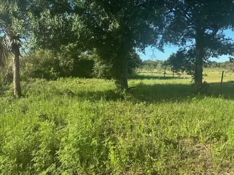 19216 NW 300th St, Okeechobee, FL 34972