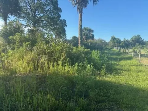 19216 NW 300th St, Okeechobee, FL 34972 photo 3