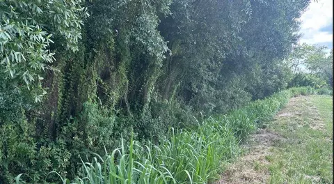 0 NE 13th Ave, Okeechobee, FL 34972