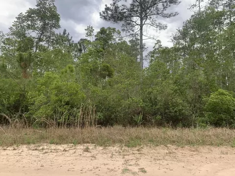 0 W Basford St, Interlachen, FL 32148