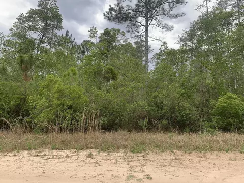 0 W Basford St, Interlachen, FL 32148