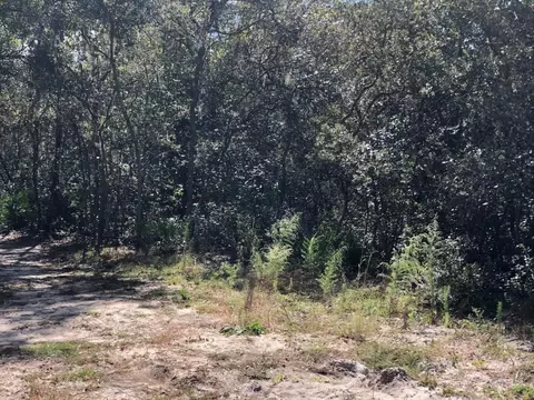 0 Oregon St, Interlachen, FL 32148