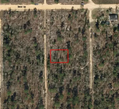 0 Gray St, Interlachen, FL 32148 photo 4