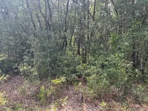 0 Gray St, Interlachen, FL 32148 photo 3