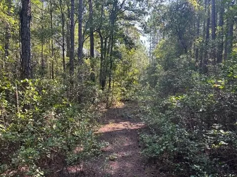 224 SE 8th Ave, Palatka, FL 32177