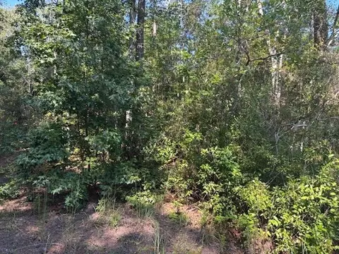 0 SE 8th Ave, Palatka, FL 32177