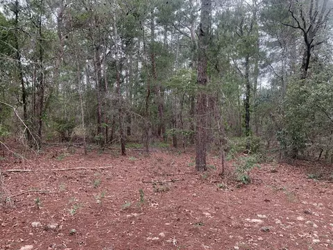 0 Citrus St, Interlachen, FL 32148