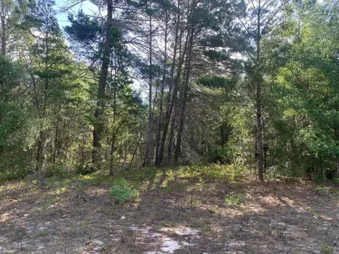 0 Evans Ave, Interlachen, FL 32148