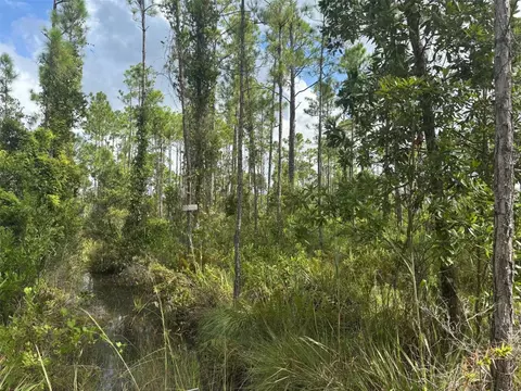 0 Co Rd, Lake Wales, FL 33898
