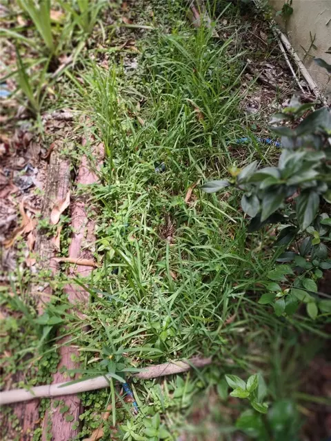 0000 SE 44 Ave, Ocala, FL 32526