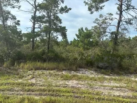 533 Boylston St, Lake Placid, FL 33852