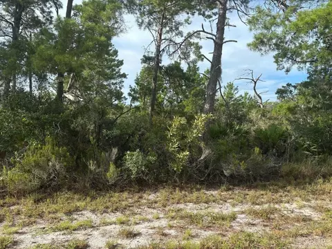 635 Boylston St, Lake Placid, FL 33852