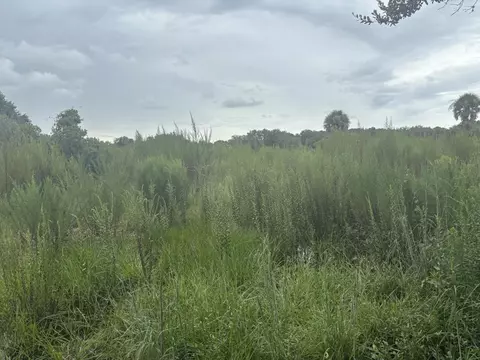 0 294th St, Okeechobee, FL 34972 photo 2