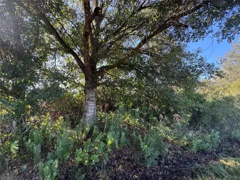 14928 NW 260th, Okeechobee, FL 34972