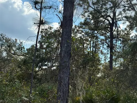 lot21 22 Plumosa Dr, Indian Lake Estates, FL