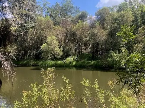 0 Us Hwy 17, Wauchula, FL 33873