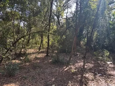 0 County Rd 54, Kathleen, FL 33849