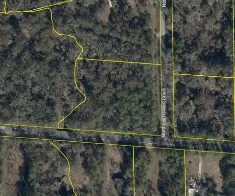 746 NE Cheshire, Lake City, FL 32055