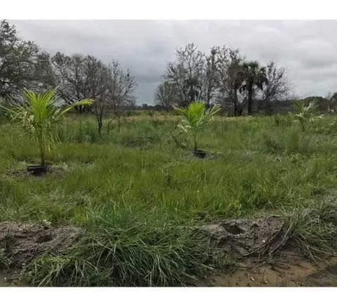 16120 NW 300th St, Okeechobee, FL 34972