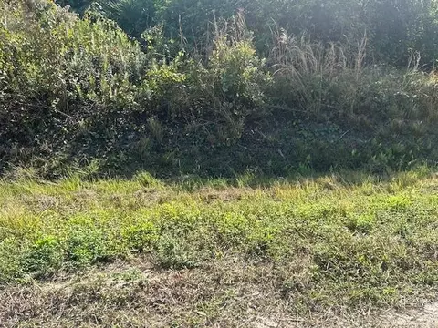 14938 NW 254th St, Okeechobee, FL 34972