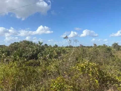 15463 NW 256th St, Okeechobee, FL 34972