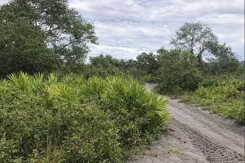 0 Alturas Babson Park Cutoff Rd, Lake Wales, FL 33859