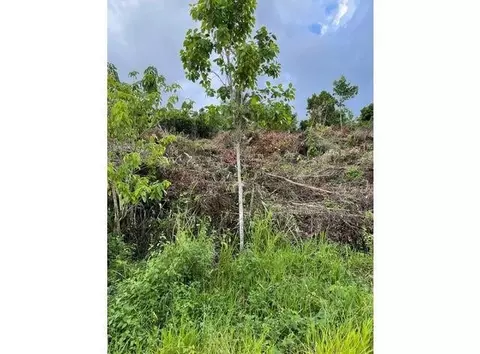 0000 139 Ct, Dunnellon, FL 34432
