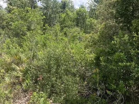 0 Xeriscape Nursery Rd, Frostproof, FL 33898