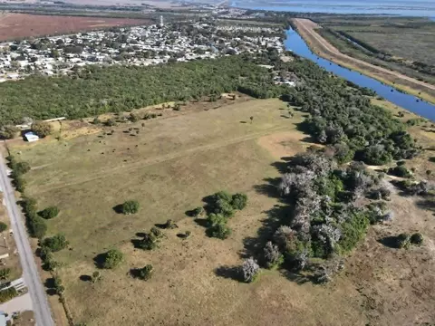- - Hunter, Okeechobee, FL 34974