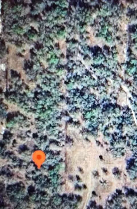 22343 NW 284th St, Okeechobee, FL 34972