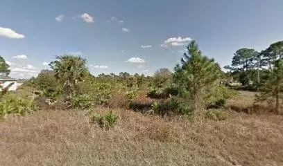 1127 Cove St, Lehigh Acres, FL 33974