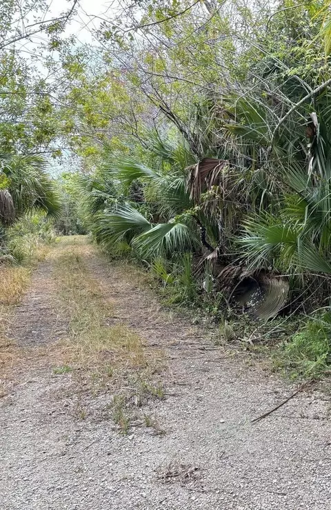 0 Hidden Oaks Ln, Oak Hill, FL 32759